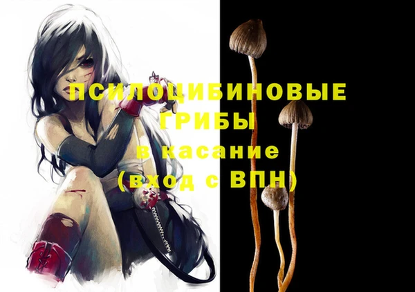 молекула духа Дмитров